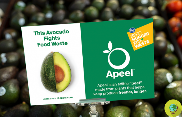 El film comestible en spray para frutas y verduras llega a Europa para reducir el desperdicio alimentario y los residuos plásticos