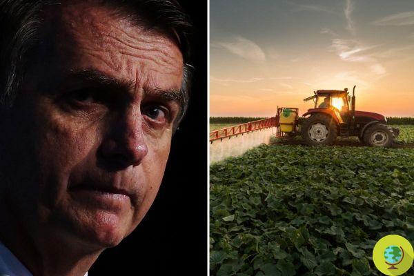Bolsonaro shock: green light for 152 new pesticides (LIST)