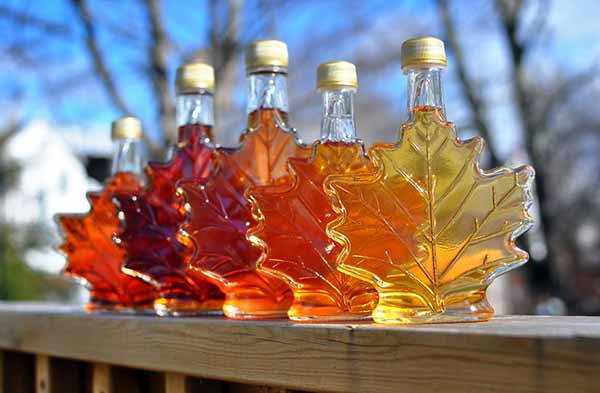 Maple syrup: properties, benefits, uses and which one to choose