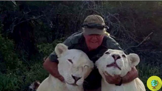 West Mathewson, o conhecido conservacionista morre devorado por suas duas leoas na frente de sua esposa
