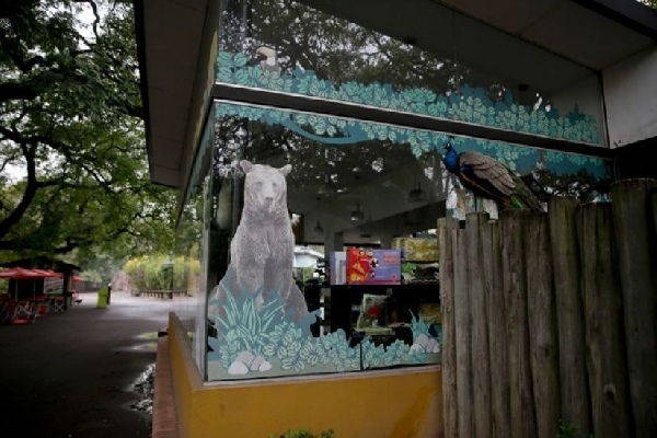 O zoológico de Buenos Aires fechou (há um ano), mas os animais ainda estão nas jaulas