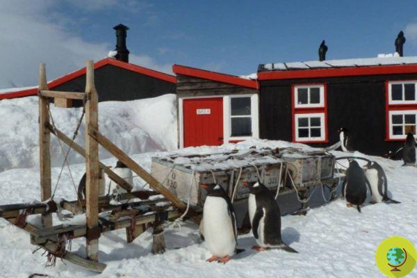 Recherchait du personnel pour gérer le bureau de poste le plus éloigné du monde, en Antarctique