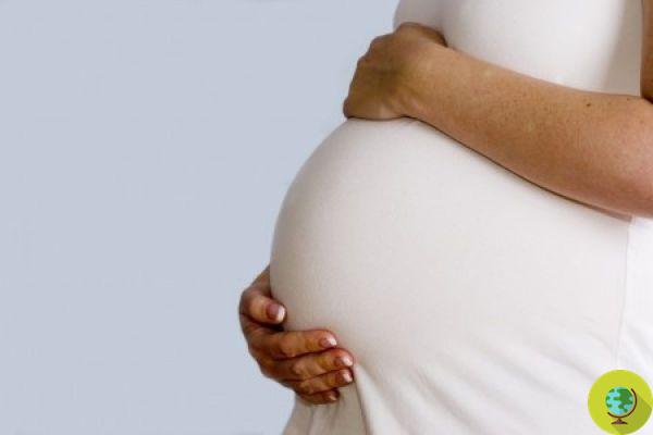 Mulheres grávidas: existem 163 substâncias perigosas em seu corpo