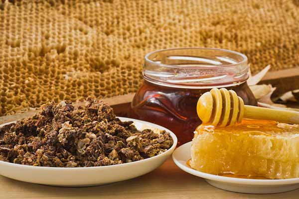 Propolis: properties, benefits, uses and contraindications of the natural antibiotic
