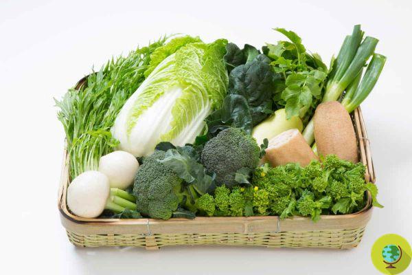 Las mejores y peores verduras desde el punto de vista nutricional: el ranking