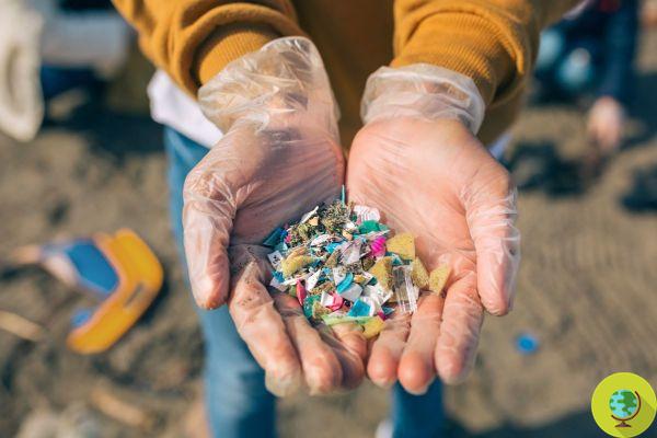 Microplastics: developed a system to eliminate them from wastewater directly at the source