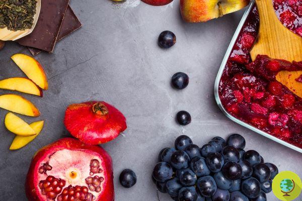 Alimentos ricos en flavonoides para combatir el Parkinson