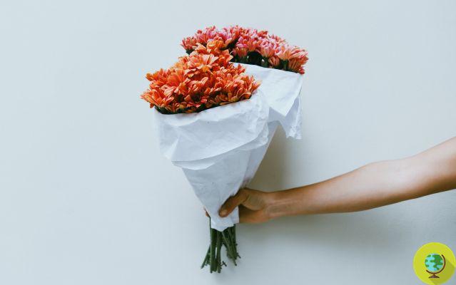 10 rules for keeping cut flowers fresh longer (without using chemical additives)