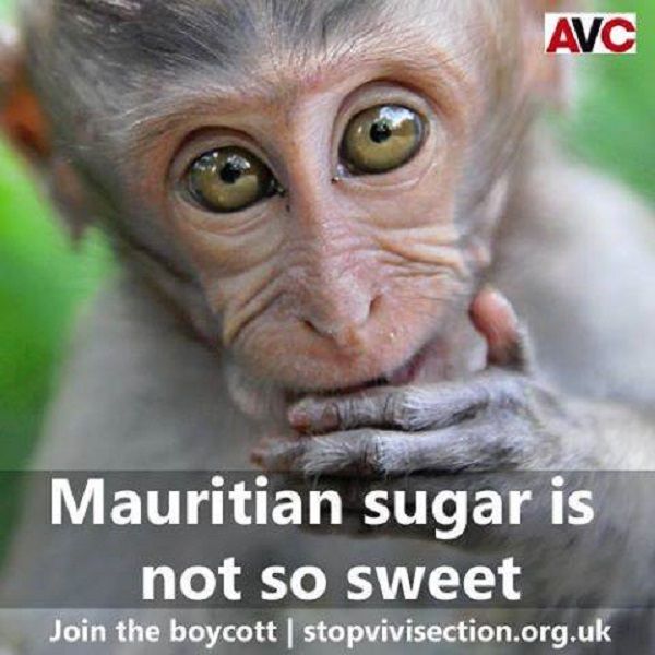 Açúcar mascavo: é tão ruim quanto o branco? Propriedades e qual escolher