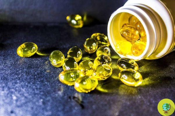 Omega-3 supplements strengthen our immune system: the foods that contain them