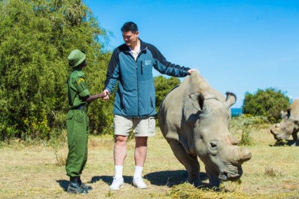 Sudán muerto, el último rinoceronte blanco del norte macho 
