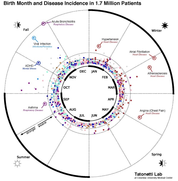 The month of birth influences diseases: those born in May are healthier