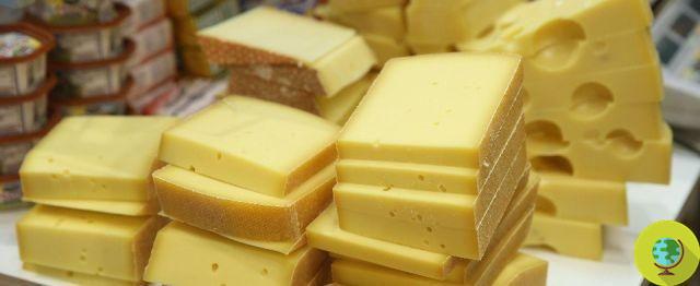 Real Vegan Cheese: el mismo queso de vaca sintetizado en laboratorio sin leche de vaca
