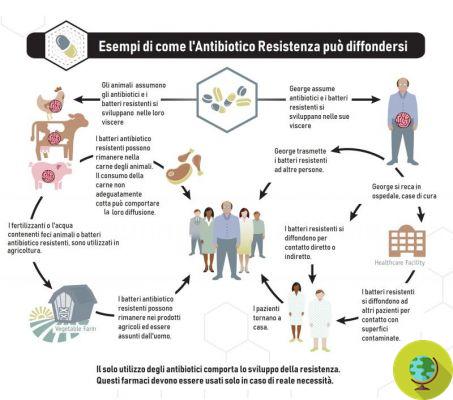 Antibiotic resistance: discovered the system by which bacteria exchange information