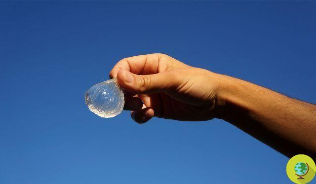 Ooho !, the edible and biodegradable water bottle inspired by the egg