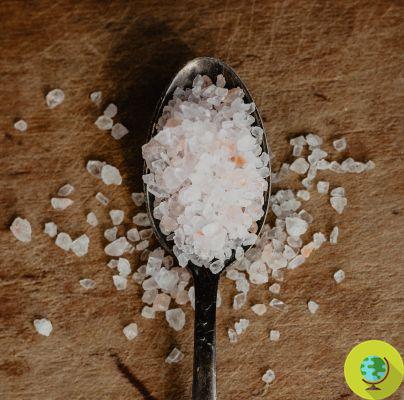 OMS: nuevas pautas para el consumo de sodio y potasio