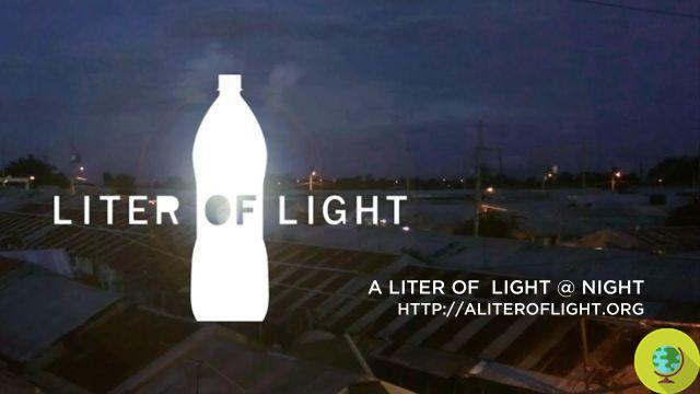 Light bulbs from plastic bottles: here is the Liter of Light project (video)