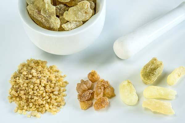 Boswellia: properties, uses, CONTRAINDICATIONS and where to find it