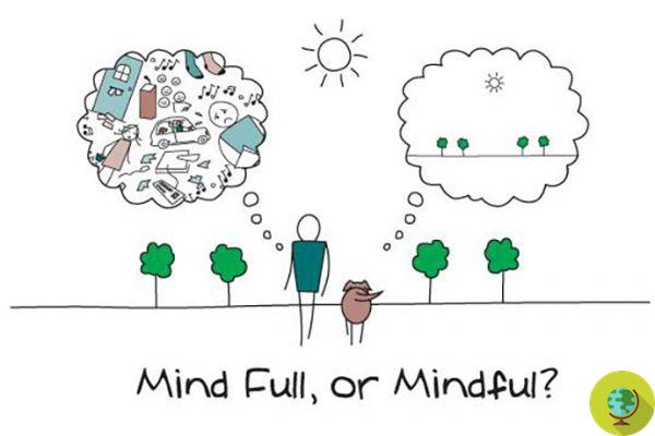 Mindfulness Day: como celebrar o dia mundial dedicado à meditação e à consciência