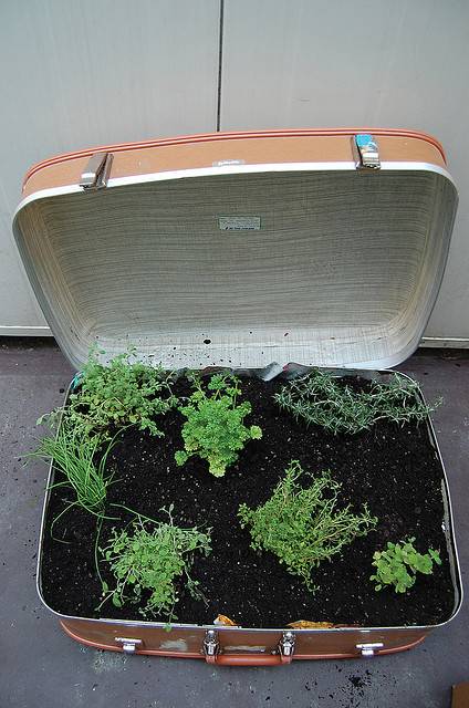 How to creatively recycle old suitcases