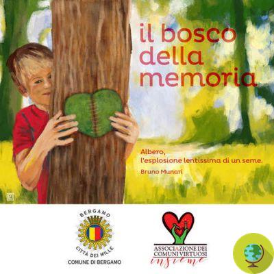 The Bosco della Memoria was born in Bergamo: 750 new trees to remember all the victims of Covid-19