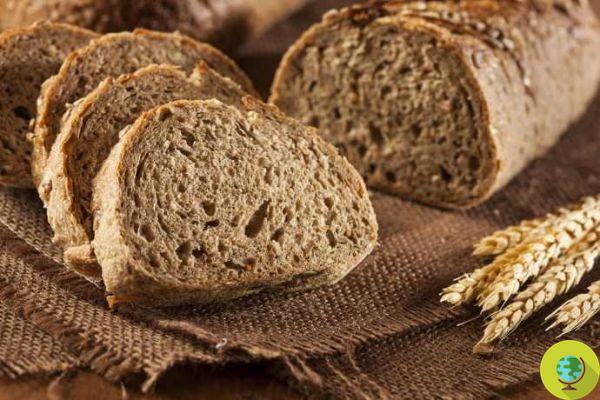 Wholemeal bread: which and why to choose it and how to make it at home