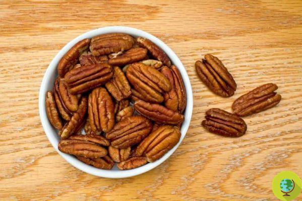 Pecans allies of the heart: just discovered a new beneficial side effect on our cardiovascular system