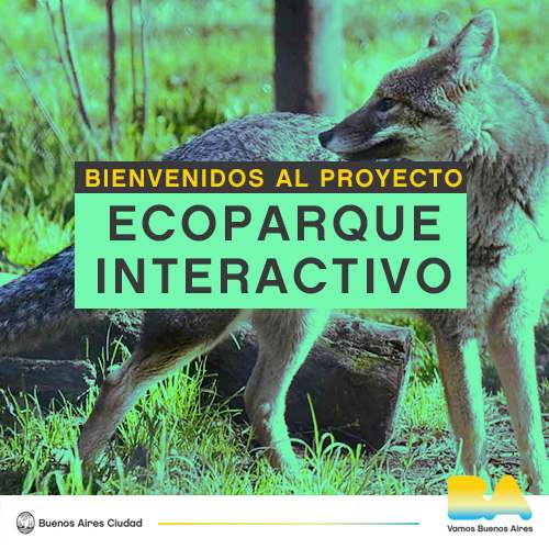 El Zoológico de Buenos Aires cierra después de 140 años: 2500 animales vivirán en las reservas naturales