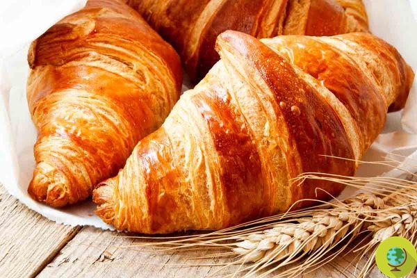 Croissant vegano: é mais saudável que o tradicional? Aqui está o que realmente contém