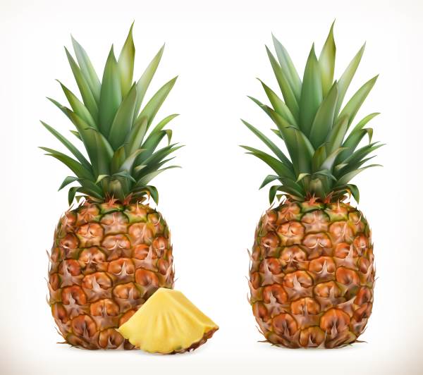 Pineapple: everything you ever wanted to know and never dared to ask