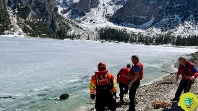 Accidente en el lago helado de Braies, qué es la hipotermia y cuáles son los remedios para evitar la muerte