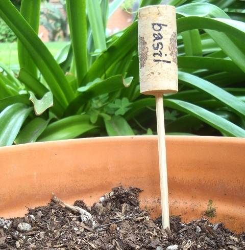 How to create labels for your garden by recycling corks