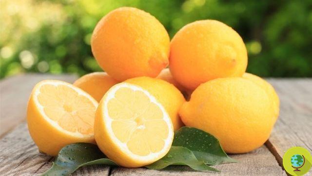 Agua de limón: 12 preguntas y respuestas a las dudas más frecuentes