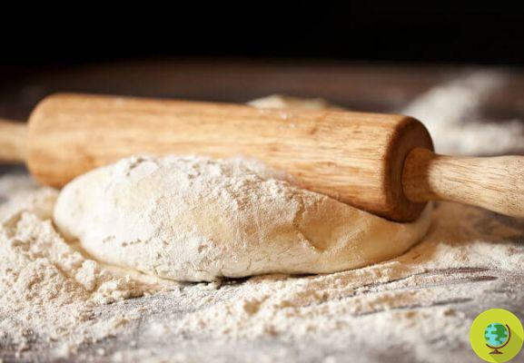 Estos científicos quieren innovar la forma en que se hace el pan... ¡con física!
