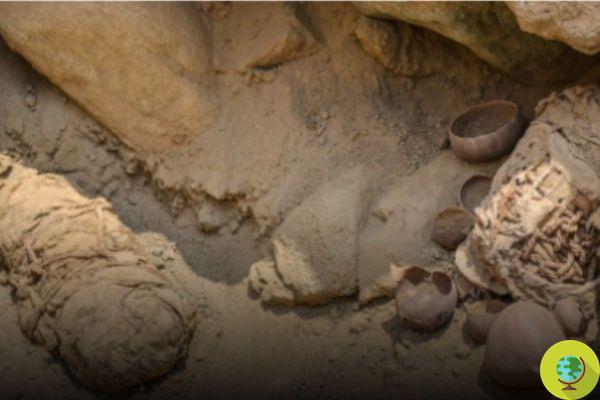 Uma antiga tumba peruana devolve seis múmias de crianças, o suprimento de sacrifício para a vida após a morte