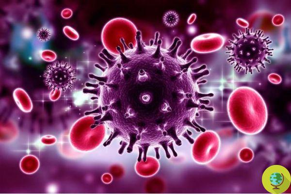 HIV, another patient recovered thanks to stem cell transplant