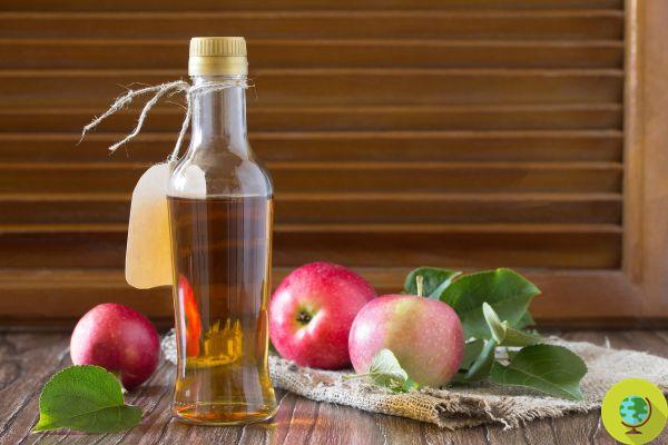 Apple cider vinegar, the science-confirmed benefits you don't expect