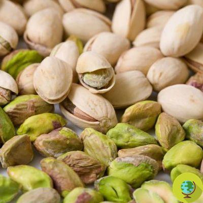 Roasted pistachios withdrawn from the market due to the presence of aflatoxins
