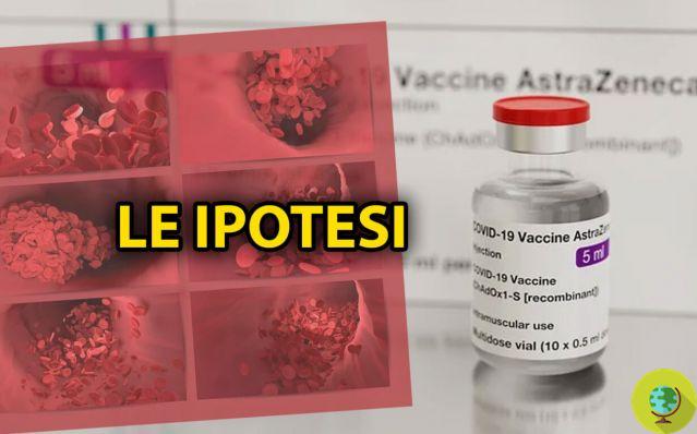 Las vacunas, los raros casos de trombosis y coágulos de sangre podrían estar relacionados con los vectores de adenovirus. yo estudio