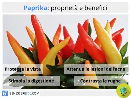 Paprika: properties, uses and benefits of the sweet and spicy spice