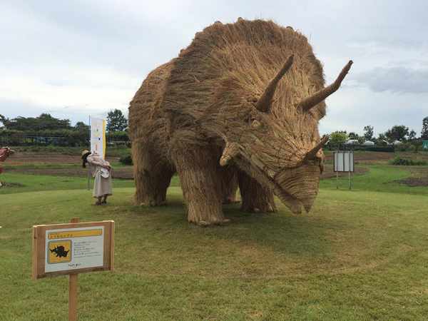 Dinossauros gigantes de palha invadem campos no Japão (FOTO)