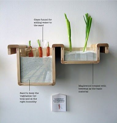 How to store food without a refrigerator using the… design!