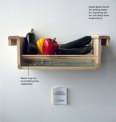 How to store food without a refrigerator using the… design!