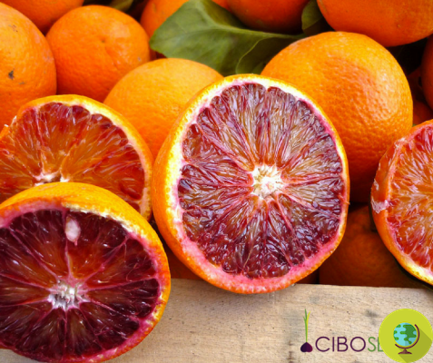 Sicilian blood oranges prevent obesity and heart disease thanks to a particular gene