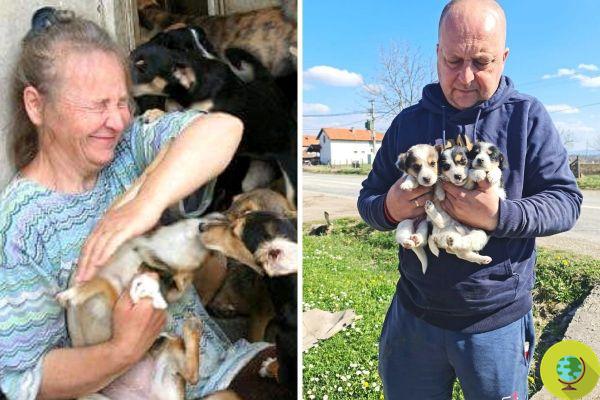 Mãe e filho criam abrigo para cães vadios na Sérvia e salvam mais de 1000 animais em 20 anos