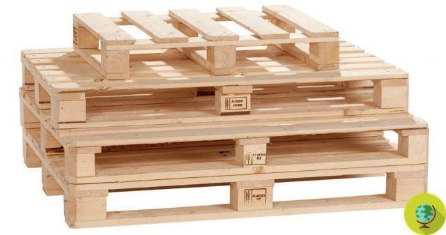 Pallets: 5 things to know to reuse pallets safely