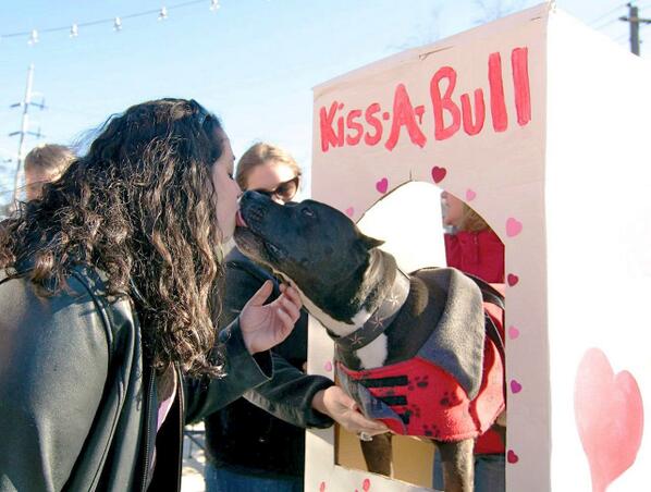 Angel, the ferocious pit bull who kills children ... with kisses