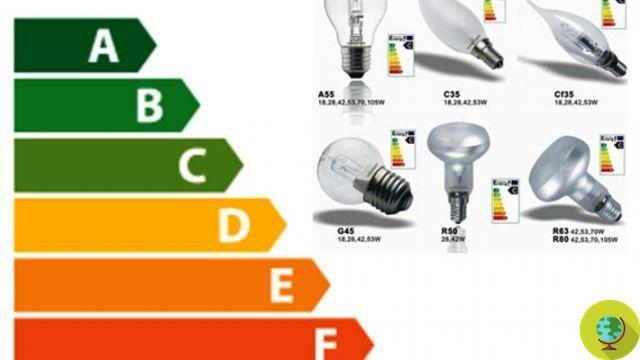 Goodbye old light bulbs: here is the guide to choosing the best products on the market