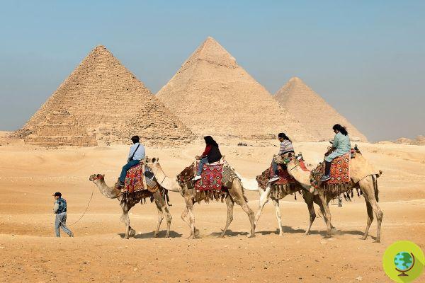 Parada a los paseos en camello y caballo en las pirámides de Giza y en las zonas arqueológicas egipcias