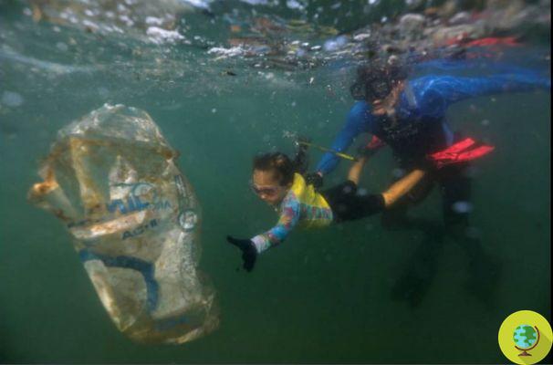 Nina, just 4 years old, cleans the sea of ​​plastic to prevent fish and turtles from dying